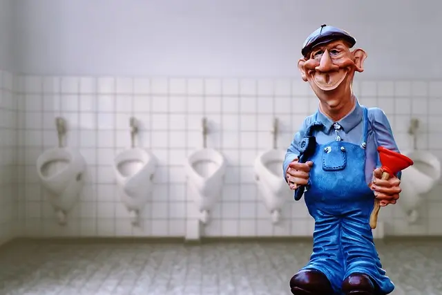 Les meilleures astuces pour choisir un plombier expert à Paris